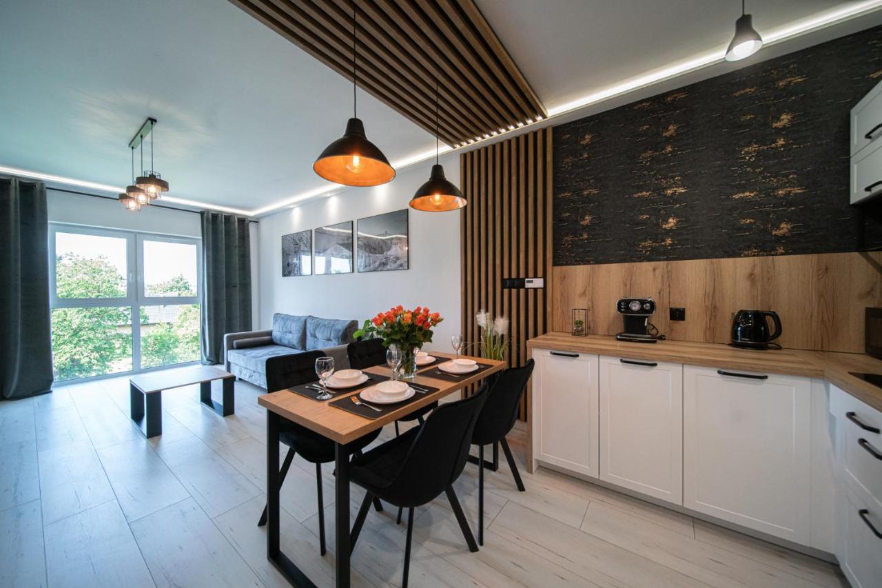耶莱尼亚古拉Apartament Duzy Staw公寓 外观 照片