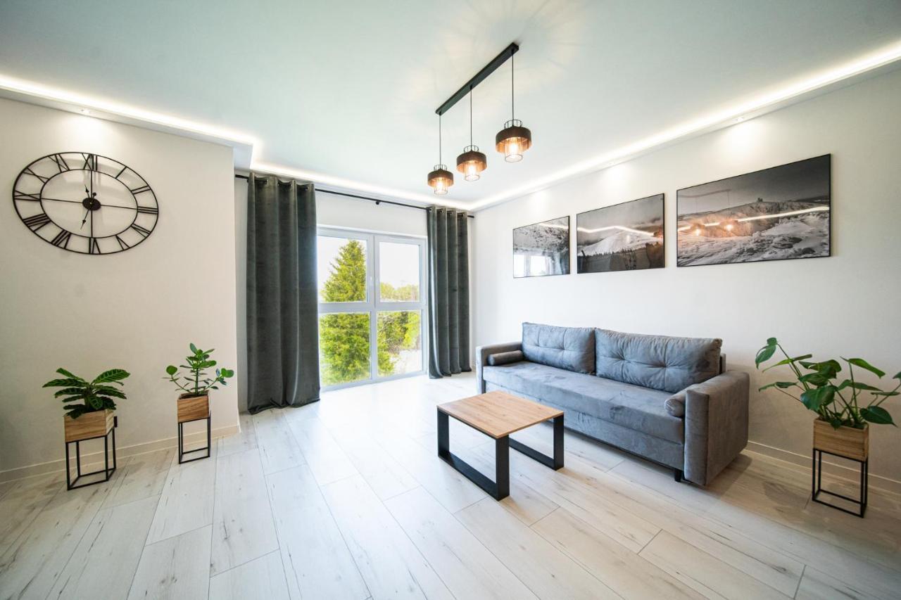 耶莱尼亚古拉Apartament Duzy Staw公寓 外观 照片