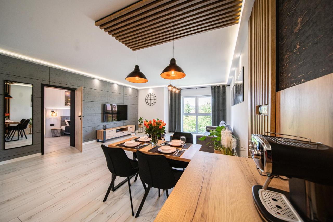 耶莱尼亚古拉Apartament Duzy Staw公寓 外观 照片